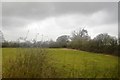 Farmland near Standerwick