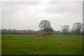 Farmland near Fairwood Junction