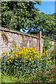 Walled Garden, Broomfield Park, London N13