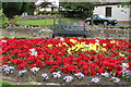 Flower Garden at Mauchline