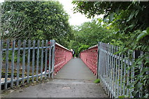 NS5225 : Footbridge over the River Ayr at Catrine by Billy McCrorie