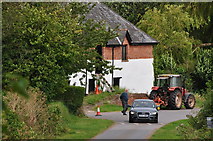 SX9795 : East Devon : Mosshayne Lane by Lewis Clarke