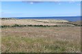 Hay fields, Melvich