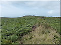 Looking towards Zennor Hill from Zennor Quoit