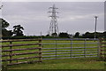 East Devon : Grassy Field & Gate