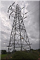 SY0196 : East Devon : Electricity Pylon by Lewis Clarke
