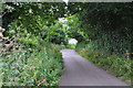 East Devon : Country Lane