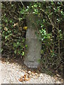 Gatepost and a bench mark in Hay Lane, Scalby