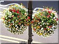 Uxbridge: hanging flower basket