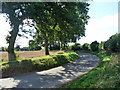 Shaded bend in the lane