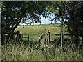 Footpath off the A507