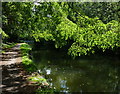 Towpath along the Grand Union Canal