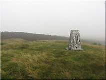 SD8877 : Trig point at Horse Head by Graham Robson