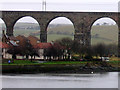 Houses below the Royal Border Bridge, Berwick