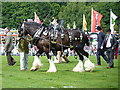 SO6286 : The Decorated Horse competition by Richard Law