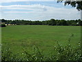 Grazing near Glebe Farm