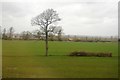 Farmland, Newtown Farm