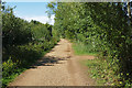 Path by the Clockhouse Lake