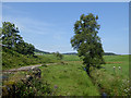 Small burn and farm road above Ae village