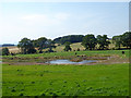 Newly excavated pond at Partridge Cottage