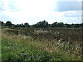 Farmland off the A507