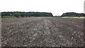 Farmland near Sutton Cheney