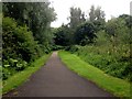 Path, Roe Valley