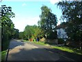 Frank Dixon Way, Dulwich Village