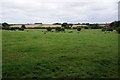 Farmland to the north of Binham