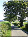 Country road from Slacks Farm to Lochmaben