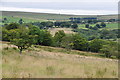 West Devon : Dartmoor Scenery