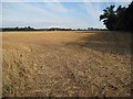 SO8645 : Stubble field near Kerswell Green by Philip Halling