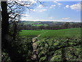 Field path below Horsleygate. View SW