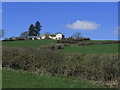 Hedge rows and pastures below Holmesfield Common