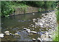 Ebbw River, near Railway Terrace, Aberbeeg, Summer