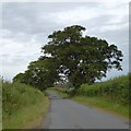 Clay Lane leading north to Cootham