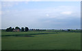 Crop field towards Ash Tree Farm