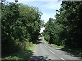 Minor road near Cainhoe Manor Farm