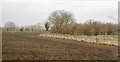 Farmland and fence