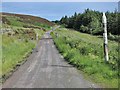 NR6207 : Cattle grid on the Mull of Kintyre road by wrobison