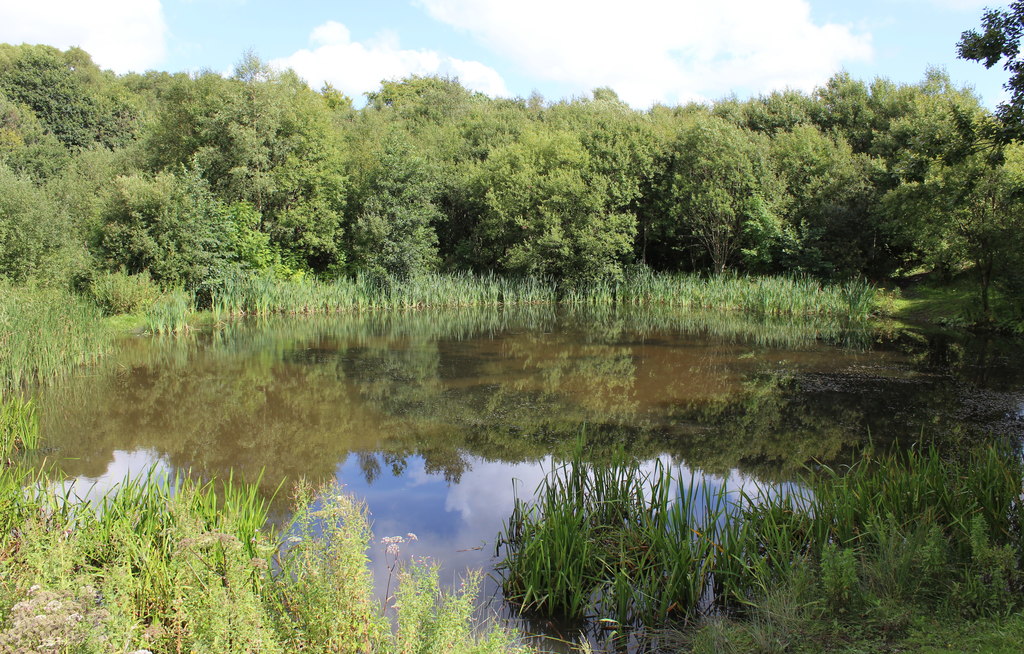 Pond, Plateau 4, near former Colliers'... © M J Roscoe cc-by-sa/2.0 ...