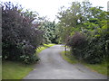 Lane off Blackpit Lane near Orton