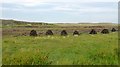 Piles Of Peat