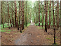 Public bridleway through military vehicle testing area