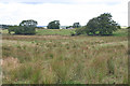 Poor Land near Bulliondale