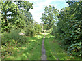 Bridleway onto Chobham Common