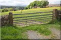 Gateway to field, Inglewood Road