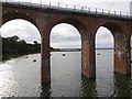 NO7056 : Viaduct, Ferryden by Richard Webb