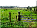 Stralongford Townland