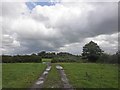 Track on Wharf Farm